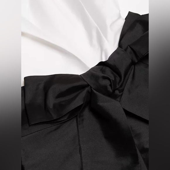 Teri Jon by Rickie Freeman
Taffeta Two-Tone Shirt Gown - Picture 7 of 14